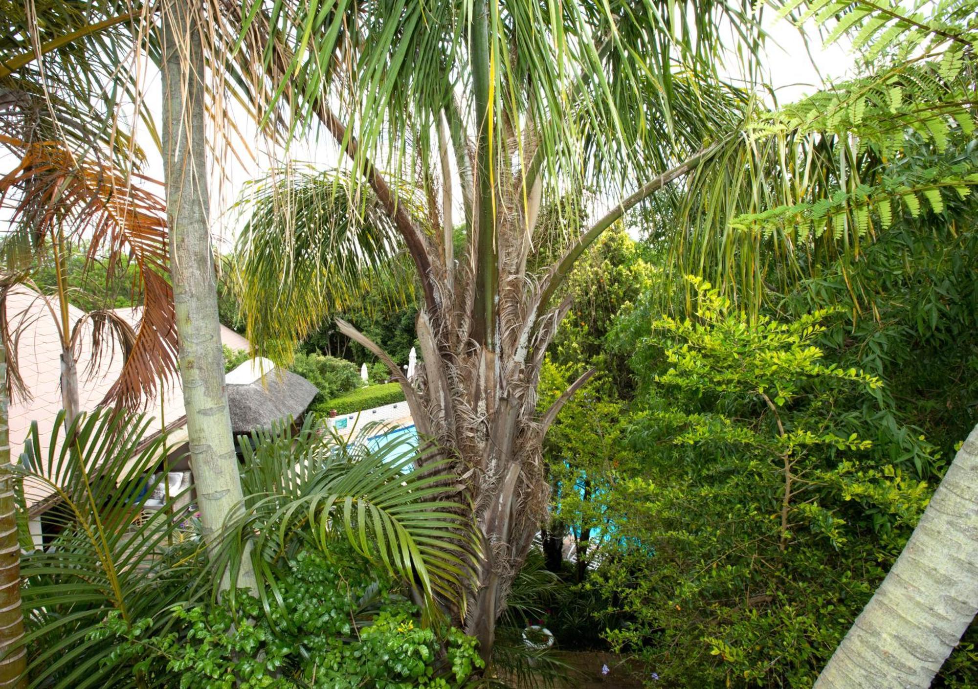 Hazelwood House Hotel Stellenbosch Exterior photo
